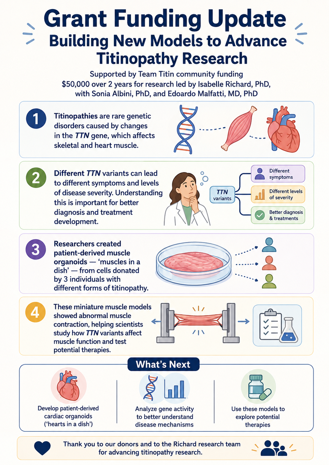 Graphic summary of the grant summary from Dr. Richard, PI, organoid work for titinopathy.